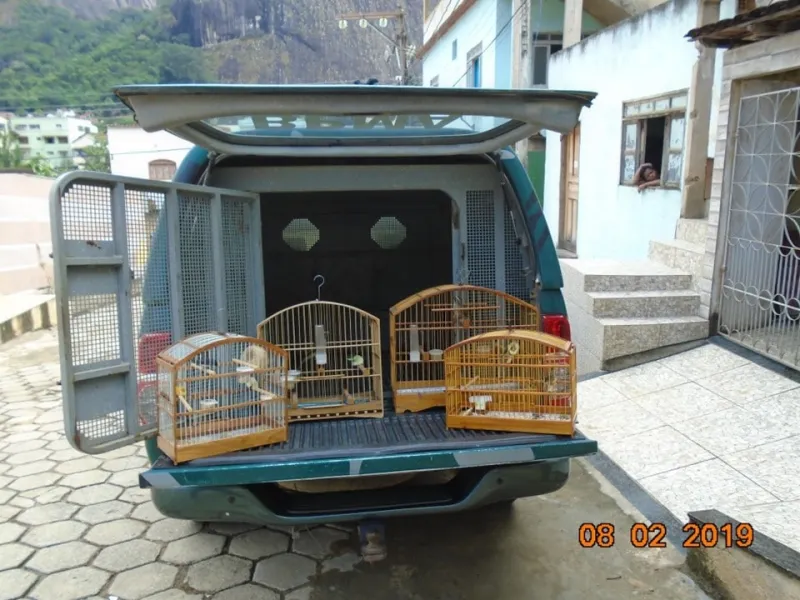 Polícia Ambiental apreende pássaros em cativeiro  em Pancas