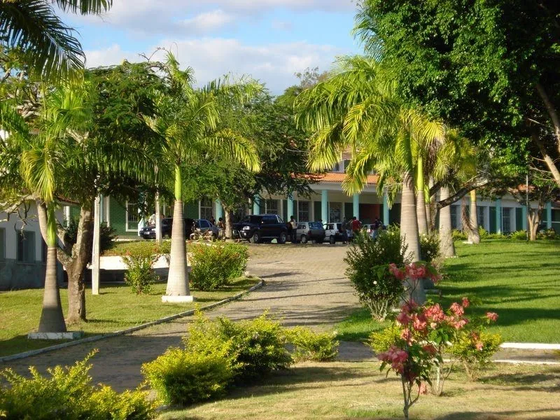 Ifes Campus Itapina está com Editais abertos com oportunidades para empreendedores alavancarem sua ideia. Confira
