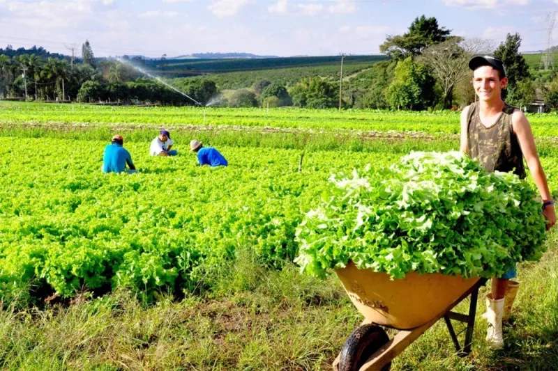 Colatina e mais 35 municípios são contemplados com equipamentos para agricultura pelo Governo do Estado