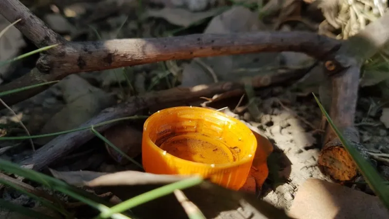 São Roque do Canaã e Linhares entre as cidades com registros de mortes por Dengue no ES