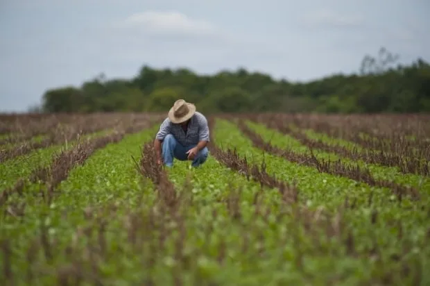 Governo do Estado prorroga prazo para implantação de sistema eletrônico para submissão de receitas agronômicas