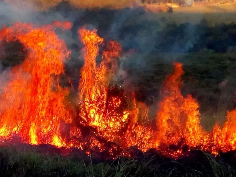 Domingo de tensão em Colatina; Bombeiros lutam para apagar 5 incêndios