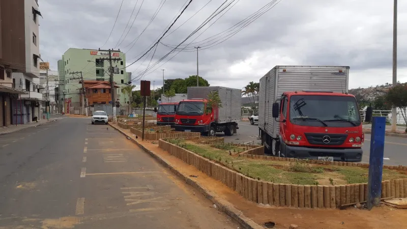 Corte de árvores no centro da cidade causa polêmica em Colatina