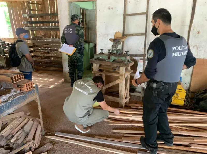 Crime ambiental: 35 mandados de busca e apreensão em serrarias são cumpridos em Colatina e região