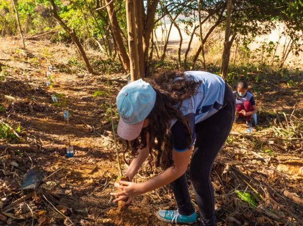 Alunos plantam 100 mudas de árvores às margens do Rio Doce em Colatina
