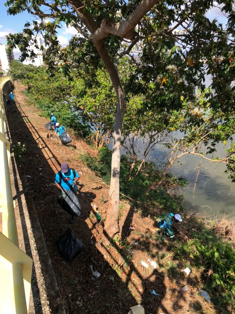 Mutirão de limpeza reúne 300 voluntários e coleta meia tonelada de lixo na margem do Rio Doce em Colatina