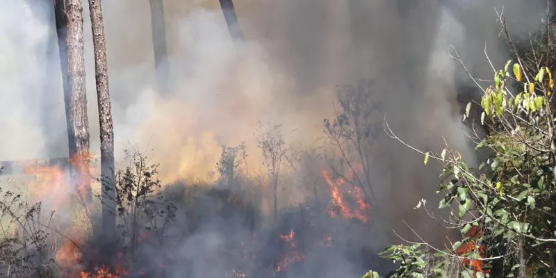 Agricultor colatinense é preso por atear fogo em terreno