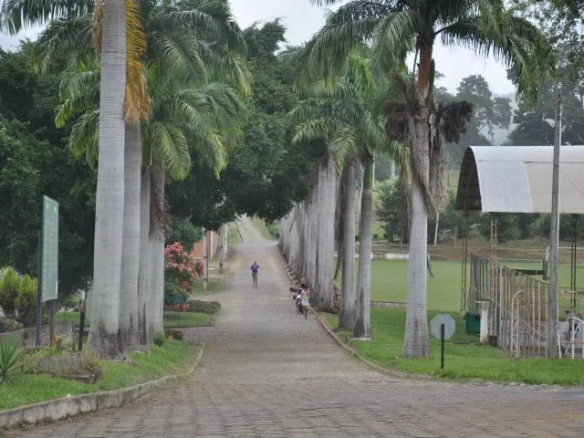 Projeto do Campus Ifes Itapina fica em 2º lugar no prêmio PI nas Escolas