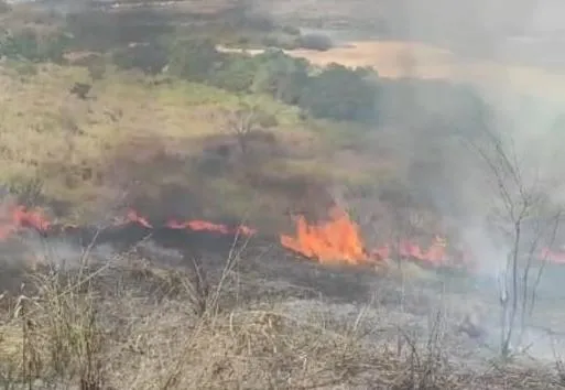Vídeo: Corpo de Bombeiros passa o domingo (7) apagando incêndios em diversos locais em Colatina