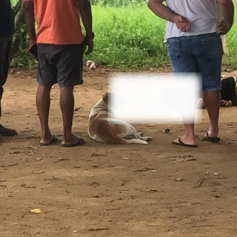 Vídeo: homem é morto a tiros em plena luz do dia no bairro Santo Antônio em Colatina