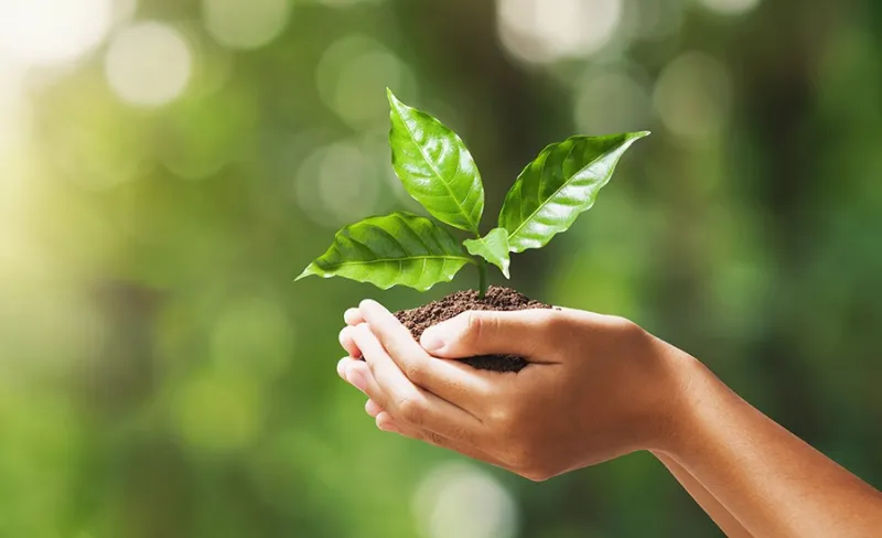 Professores da rede pública municipal podem fazer curso de pós-graduação na área ambiental em Colatina
