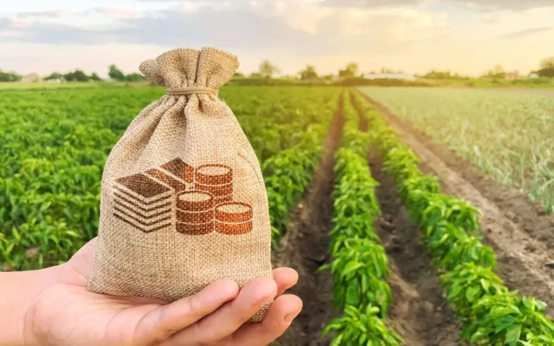 O maior evento do agronegócio de Colatina começa esta semana