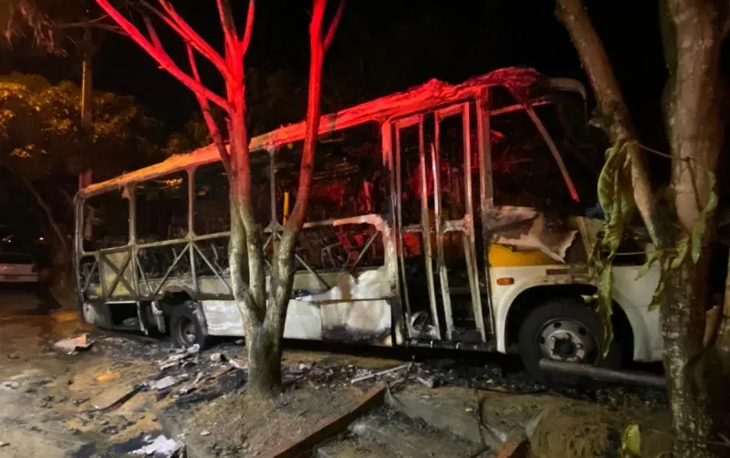 Vídeo: incêndio em micro-ônibus de transporte escolar em Colatina deixa veículo irreconhecível