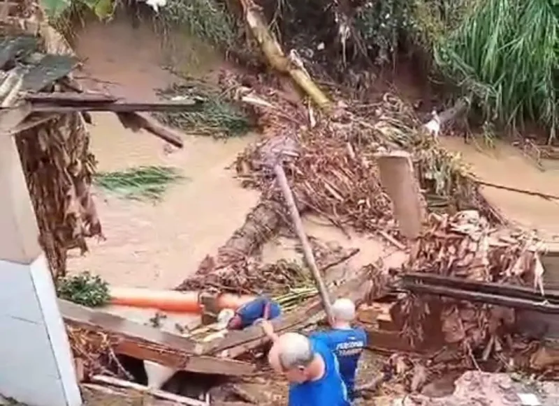 Árvores dentro do córrego São Silvano preocupam moradores do bairro Lacê, em Colatina
