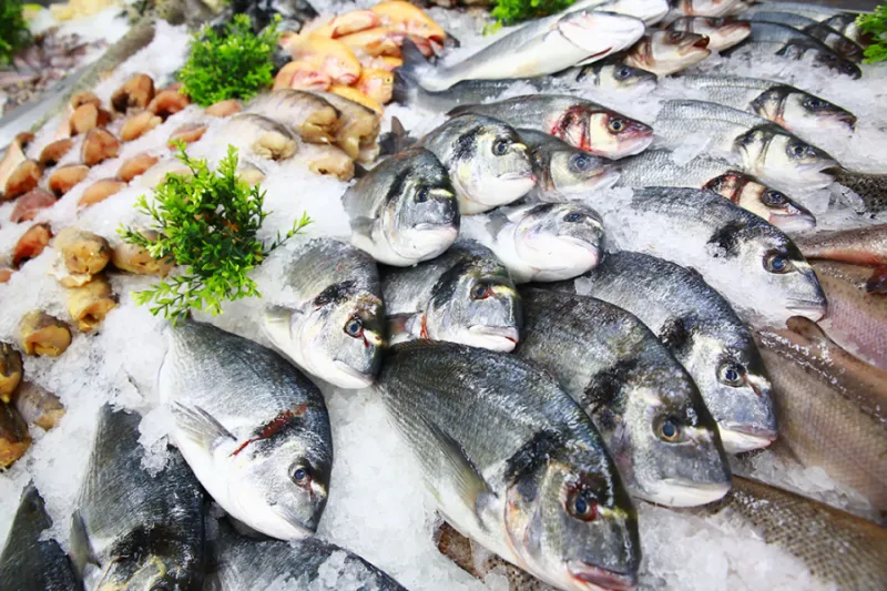 Procura por pescados aumenta com o início da Quaresma em Colatina