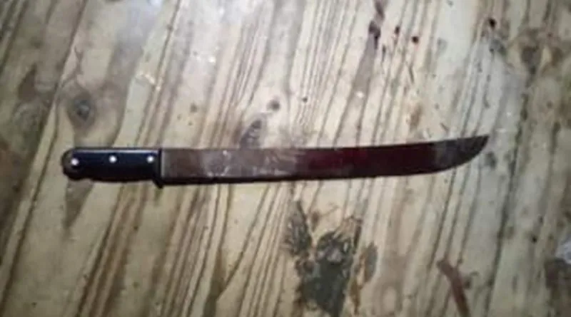 Briga entre vizinhos por causa de cachorro termina com homem ferido por facão em Baixo Guandu