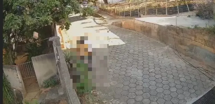 VÍDEO: entregador joga encomenda por cima de muro, em Colatina. Proprietário agradece o “carinho”!