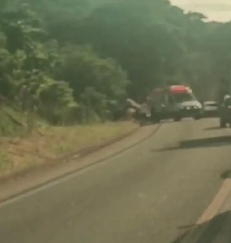 Saiba como foi o acidente que deixou dois idosos feridos na BR-259 em Colatina, neste domingo (22)