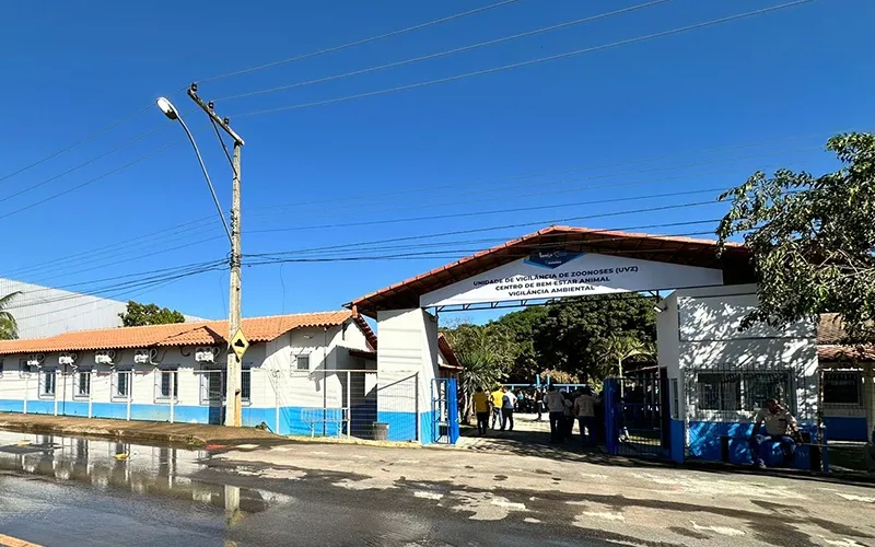 Colatina realiza Feira de Adoção para incentivar acolhimento responsável de cães e gatos