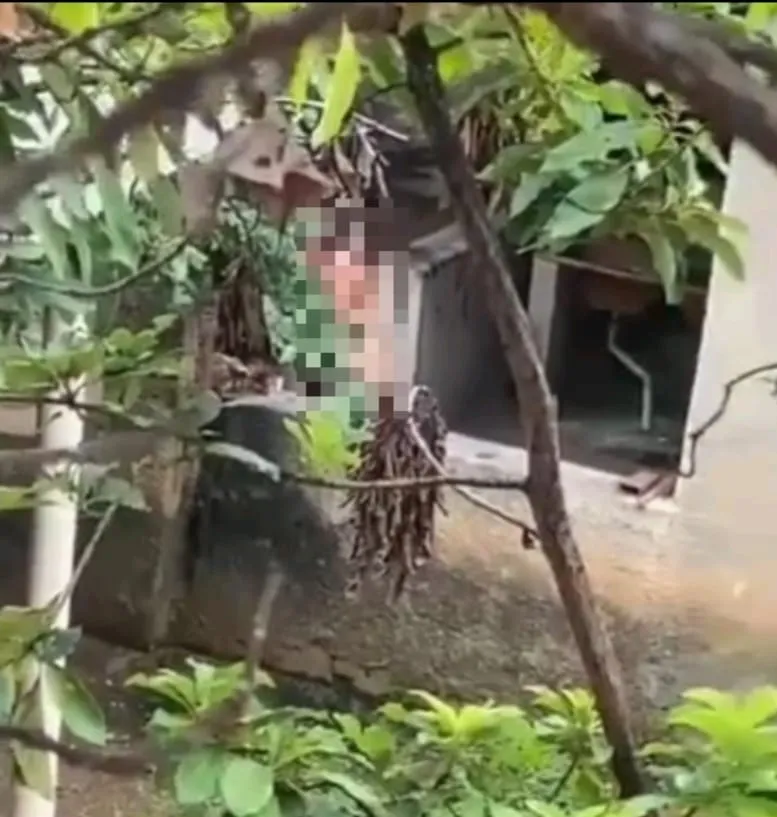 Moradores denunciam idoso que aparece nu à vista de vizinhos, inclusive crianças, no bairro Novo Horizonte, em Colatina