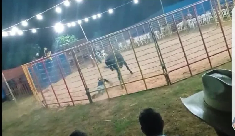 Vídeo mostra peão levando coice na cabeça durante tourada em São Roque do Canaã no fim de semana