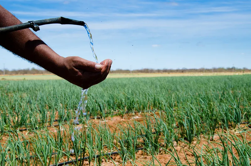 Produtores rurais de Colatina já podem solicitar mudança no horário de uso do Relógio Verde
