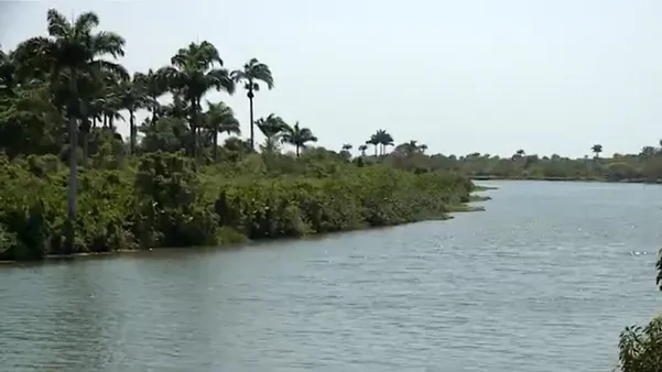 São Mateus decreta racionamento de água após aumento de sal no Rio Cricaré