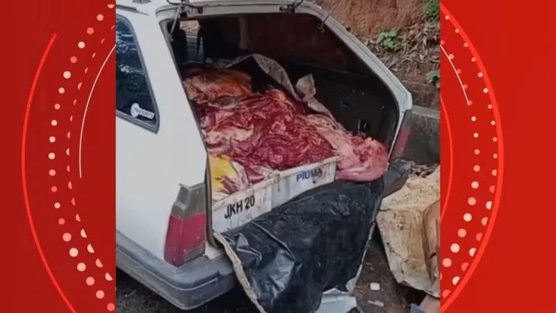 Polícia Civil descobre cemitério clandestino e local de abate ilegal de cavalos em Aracruz