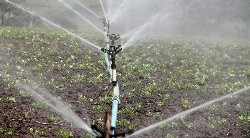 Atenção, agricultores de Colatina, Linhares e Norte/Noroeste do ES: uso da água no campo agora tem isenção permanente no Estado