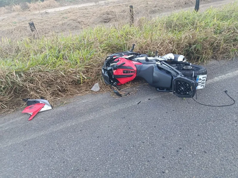 Jovem morre após colidir com vaca na rodovia ES-245 entre Linhares e Rio Bananal