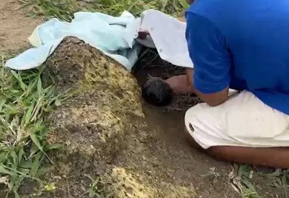 Polícia Civil identifica jovem que abandonou recém-nascido em distrito de São Mateus