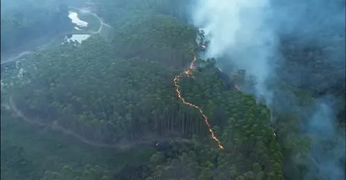 Dois incêndios atingem lavouras de café e eucalipto em Santa Teresa no intervalo de 24 horas