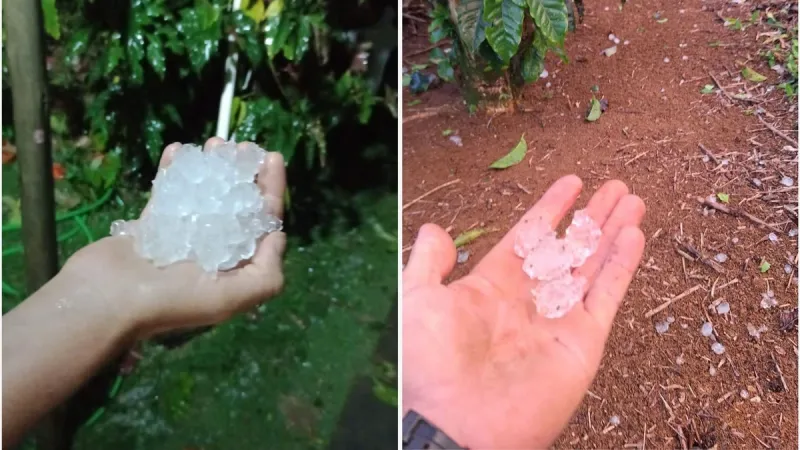 Granizo surpreende municípios do ES e provoca danos na área rural; árvores caem e regiões ficam sem energia