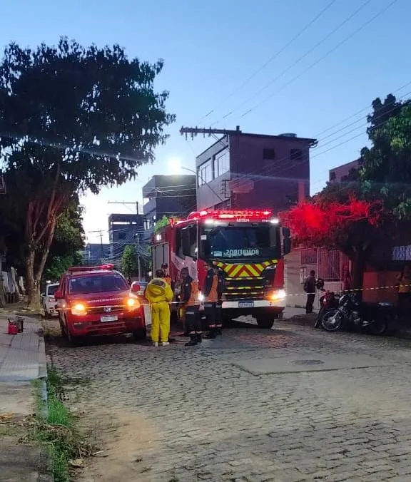 Ataque de abelhas causa pânico e deixa feridos na Avenida Rio Doce, em Colatina