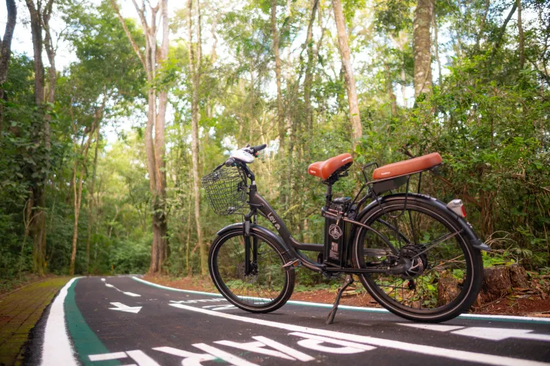 Novas regras para bicicletas elétricas e patinetes entram em vigor e exigem atenção dos condutores