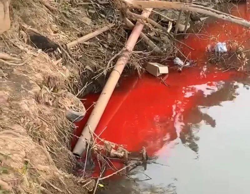 Prefeitura de Colatina apura descarte irregular de resíduo com risco de contaminação no Rio Doce