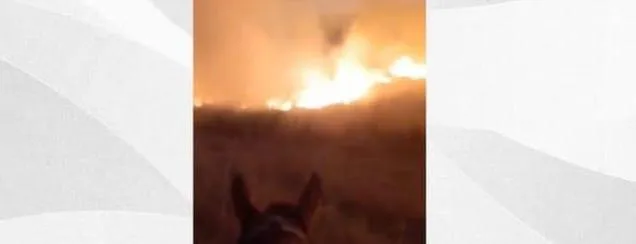 Fogos durante jogo do Brasil podem ter provocado incêndio em fazenda em Baixo Guandu