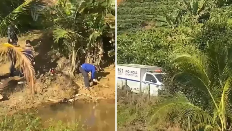 Corpo é encontrado enterrado em cafezal após denúncia de homicídio em boate de Vila Valério