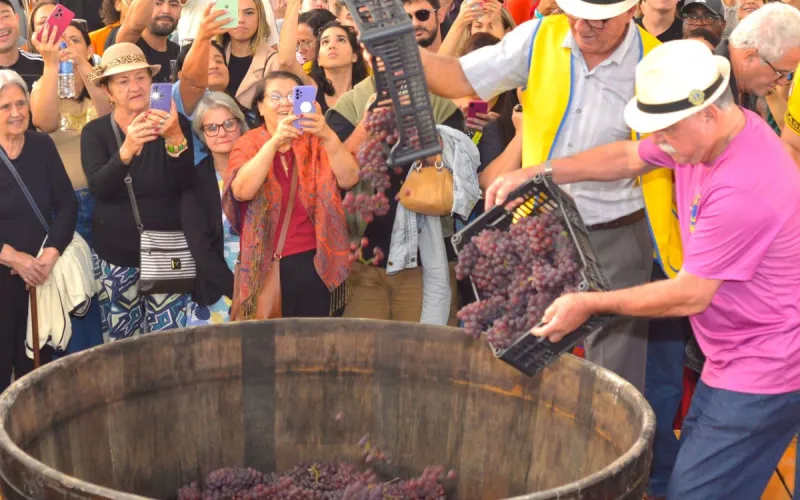Santa Teresa realiza 27ª Festa do Vinho e da Uva com entrada gratuita, pisa da uva e shows de 7 a 9 de agosto