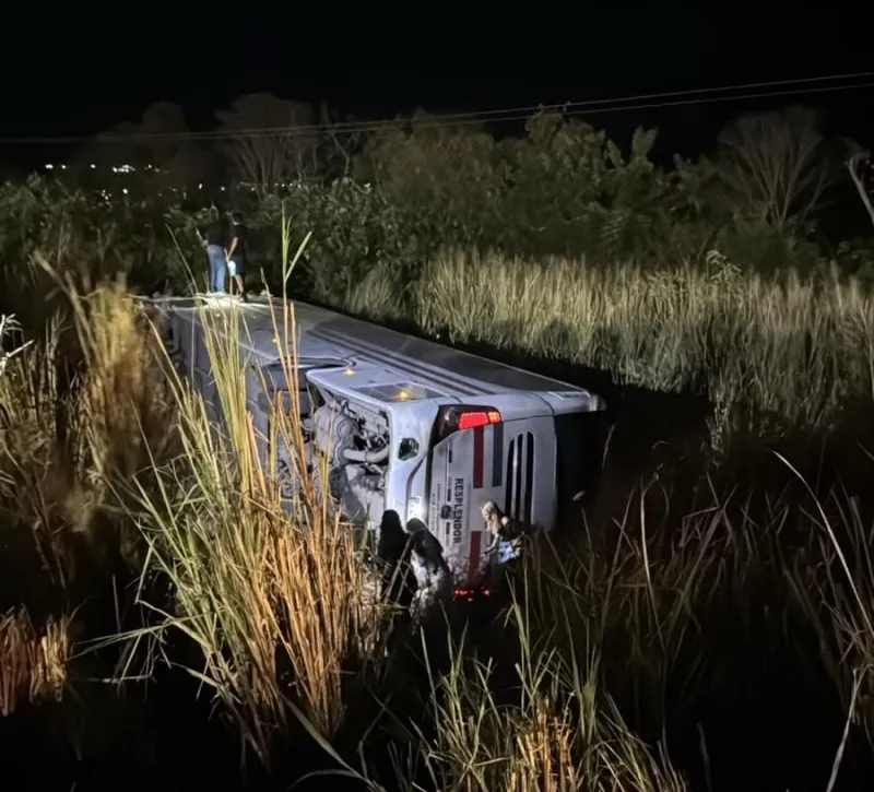 Vídeo: motorista morre após ônibus com universitários que estudam em Colatina colidir com caminhão na BR-259, em Baixo Guandu