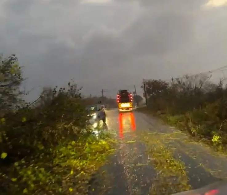 Vídeo: tempestade derruba árvores, interdita parte da BR-259 e deixa Baixo Guandu sem energia