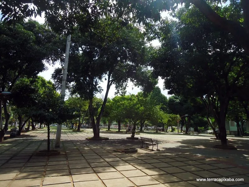 Mulher trans relata ter sido agredida com tapa no rosto em praça de Colatina