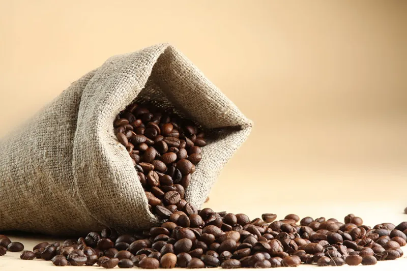 Cerca de 60 sacas de café e um touro desaparecem de propriedade rural em Baixo Guandu