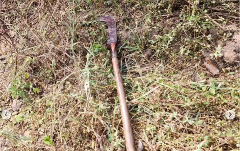 Homem de 38 anos é morto a golpes de foice e martelo em Linhares; suspeito é procurado